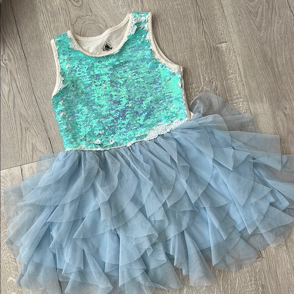 Disney Blue and White Dance Costume with Tulle Skirt